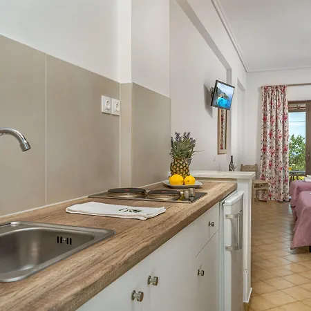 Kapnisi דירה Vasilikí