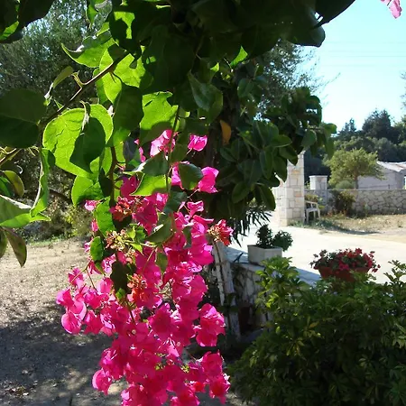 Kapnisi דירה Vasilikí