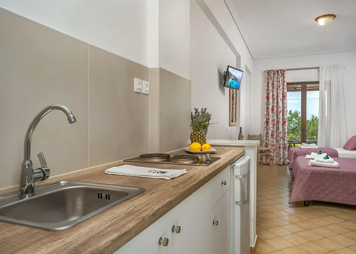 Kapnisi Apartment Vasilikí
